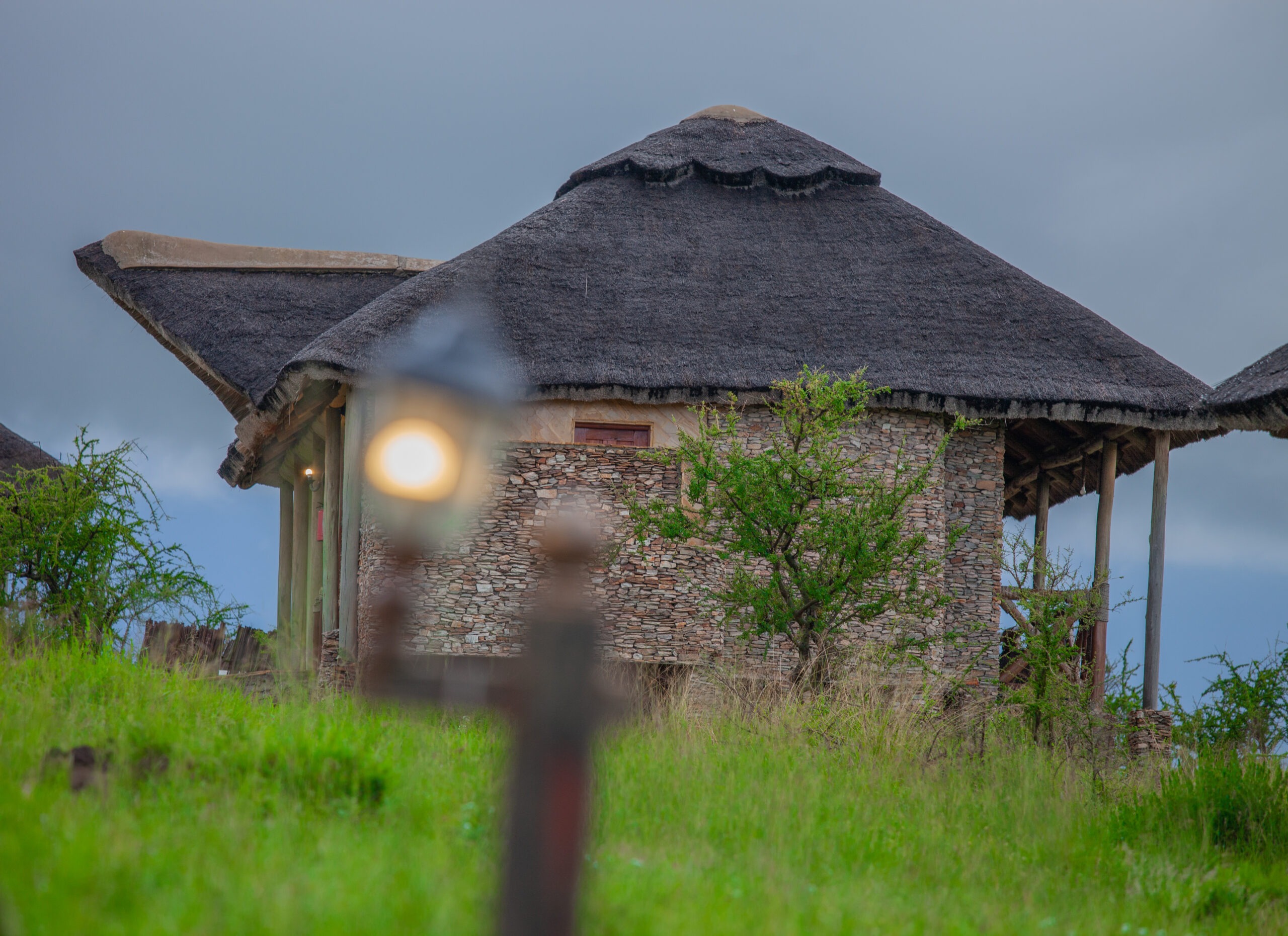 Budget Safari Options in Tanzania 2025/2026