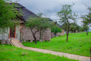 Tanzania wildcamps