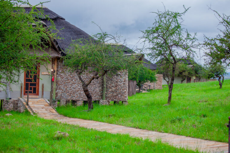 Tanzania wildcamps