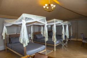 Best Safari lodge in Serengeti