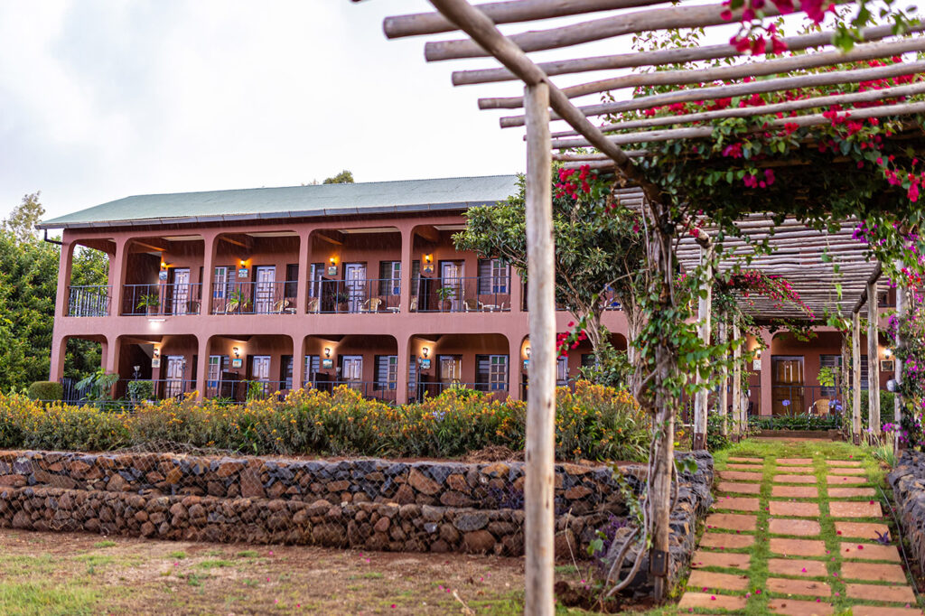 Safari lodge