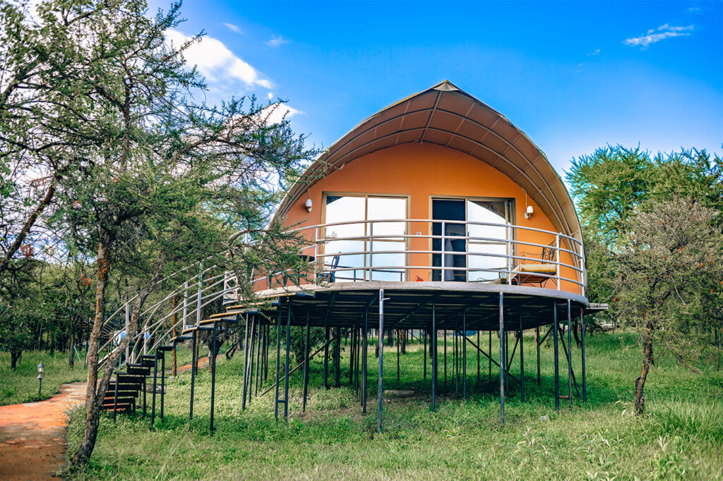 Safari Trends in Tanzania