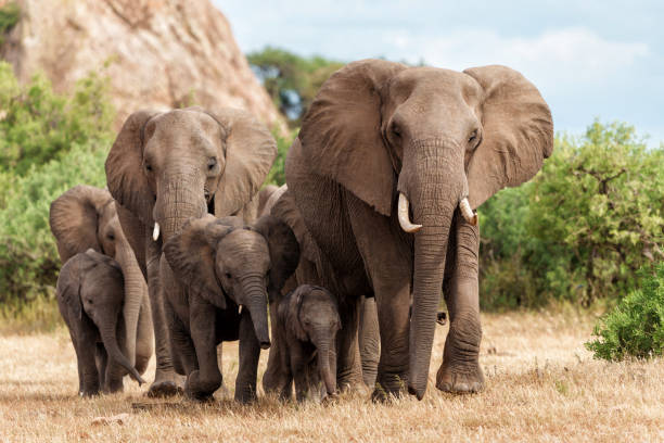Tarangire National Park