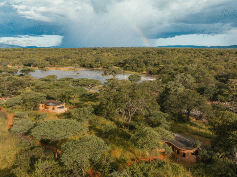 Ngorongoro Wild Camp: Your Ultimate Safari Retreat in Tanzania