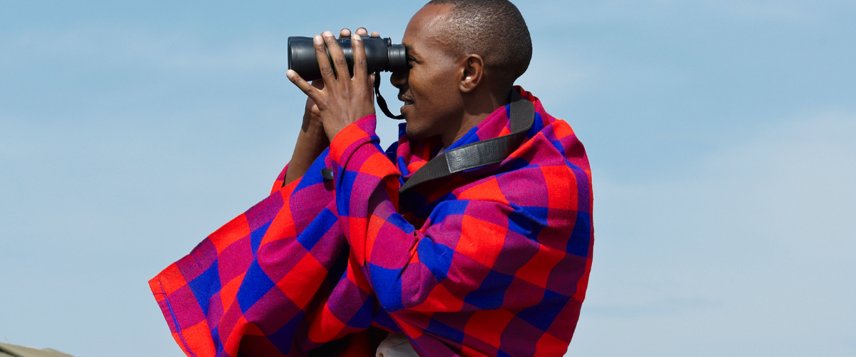 Master the Art of Wildlife Photography on Safari